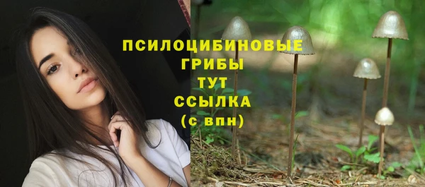стаф Белокуриха