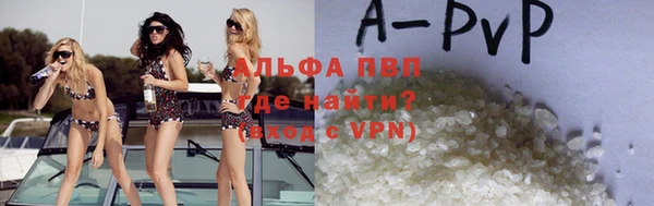 стаф Белокуриха