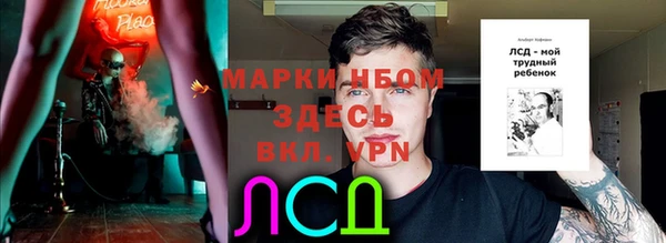 стаф Белокуриха