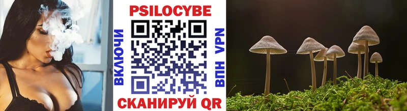 Псилоцибиновые грибы ЛСД Соль-Илецк