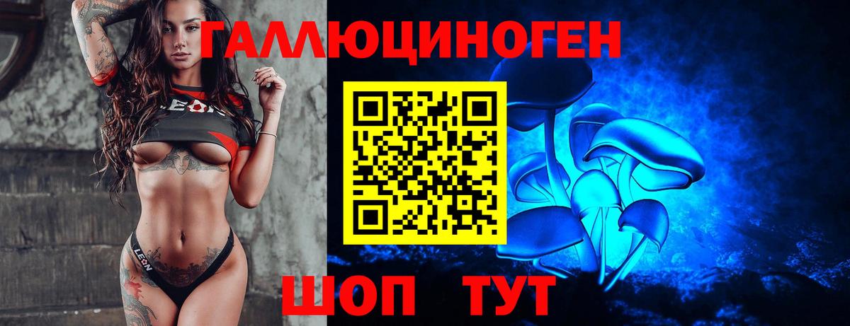 Соль-Илецк  Галлюциногенные грибы мицелий  Галлюциногенные грибы GOLDEN TEACHER  Вход с VPN 